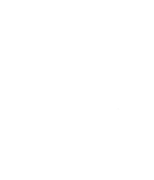 Picks Up Clay Bird Debris